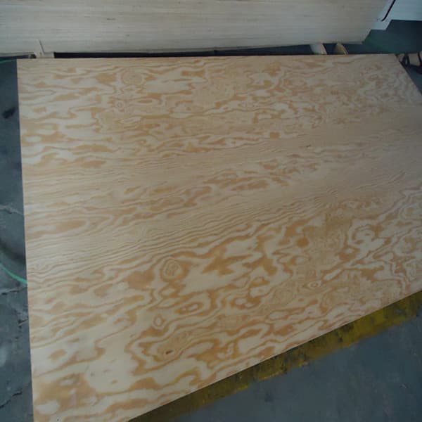 Best price Larch plywood